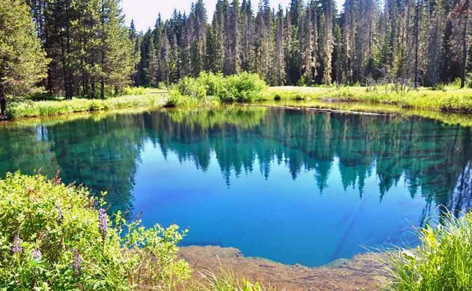 sonhar com lago o que significa